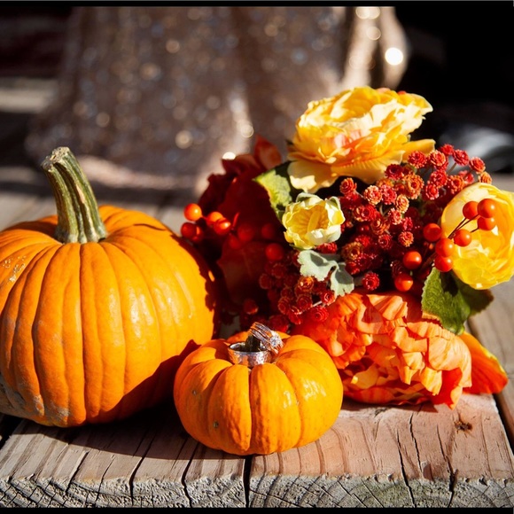 Meet your Posher, Meredith - Picture 2 of 3